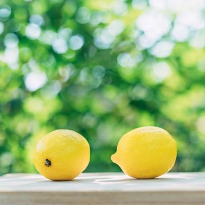 生化英雄破解版下载